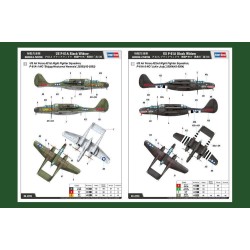 US P-61A Black Widow  2