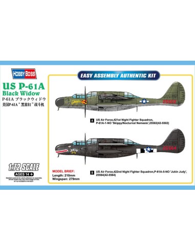 US P-61A Black Widow 