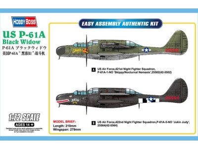 US P-61A Black Widow 