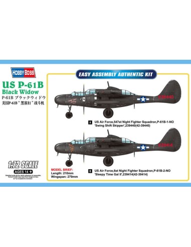 US P-61B Black Widow 