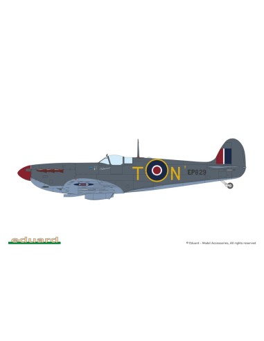 SPITFIRE STORY: The Sweeps DUAL COMBO 