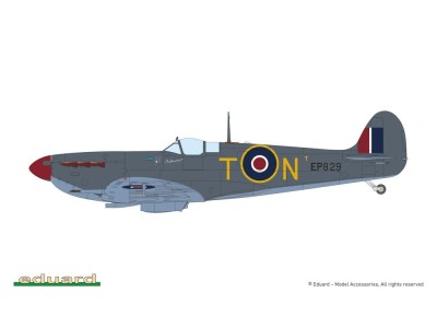 SPITFIRE STORY: The Sweeps DUAL COMBO 