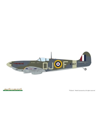 SPITFIRE STORY: The Sweeps DUAL COMBO 