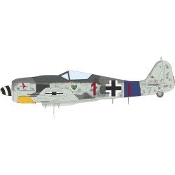 Fw 190A-8 standard wings 1/72 