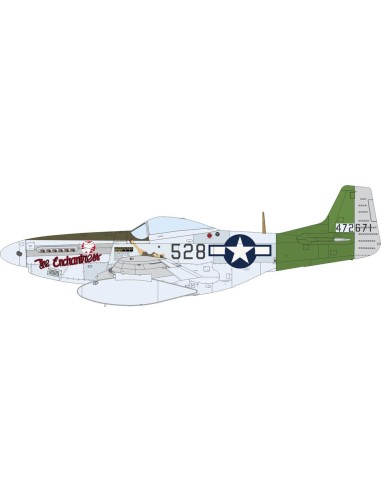 P-51D Mustang 