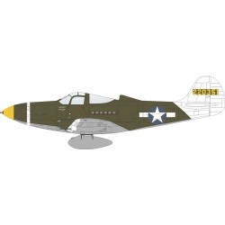 P-39Q Airacobra, Weekend Edition 