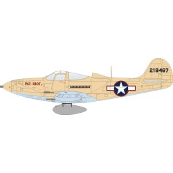 P-39Q Airacobra, Weekend Edition  2