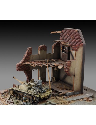 Internal house ruin 
