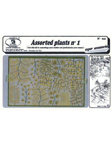 Assorted plants n.1 
