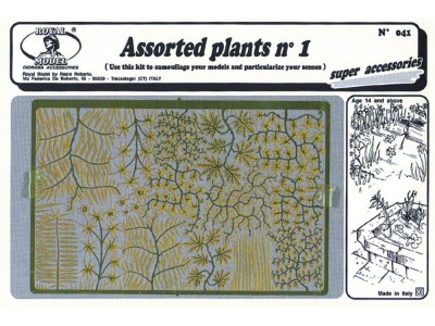 Assorted plants n.1 