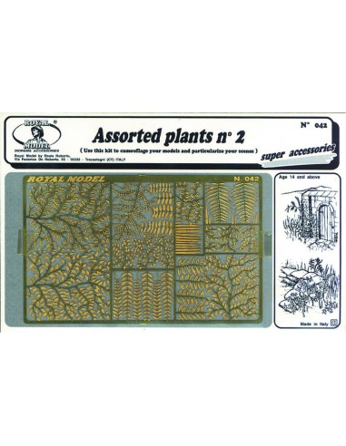 Assorted plants n.2 
