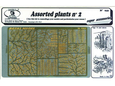 Assorted plants n.2 