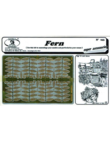 Fern 