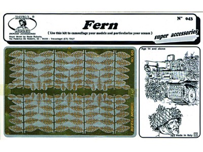 Fern 
