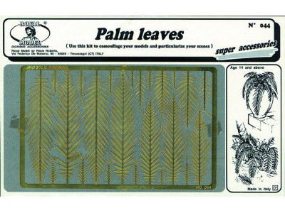 Palm leaves 