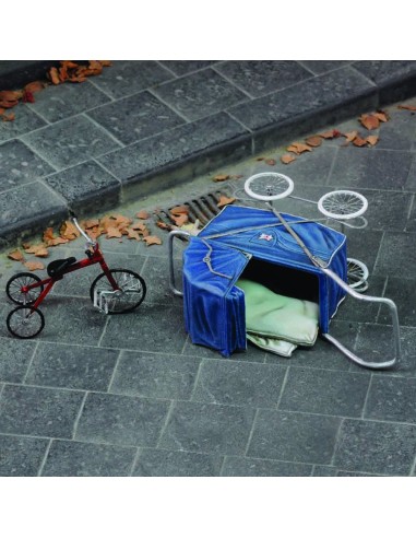 Pushchair & tricycle 