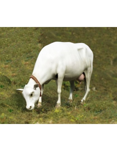 Cow standing 