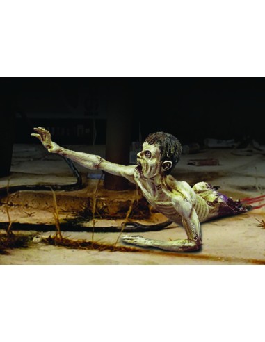 Zombie-/half body 'Zombies serie' 