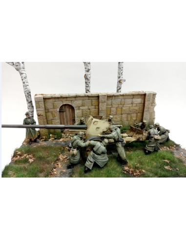 Wall section ruin 