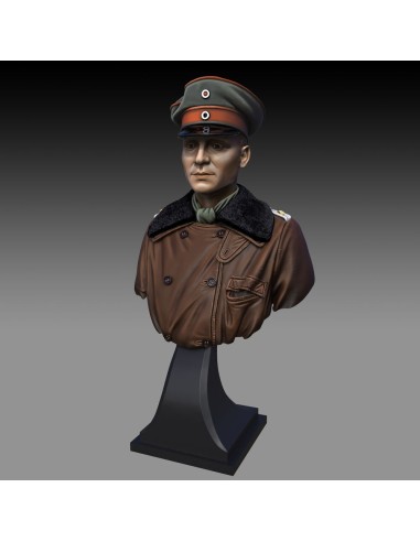 Red Baron bust 
