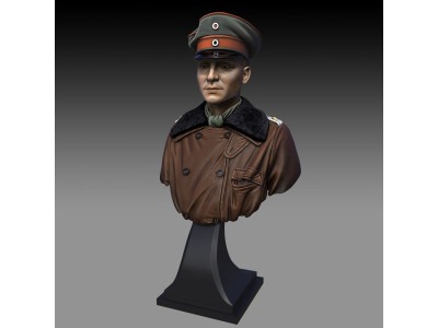 Red Baron bust 