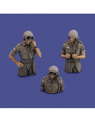 IDF tank crew '1973' 