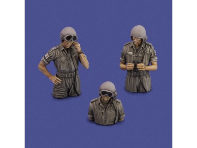 IDF tank crew '1973' 
