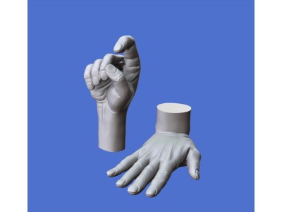 Assorted hands set No.5 