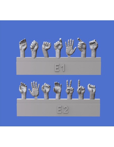 Assorted hands set No.5 