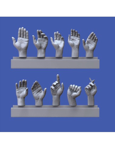 Assorted hands set No. 1 