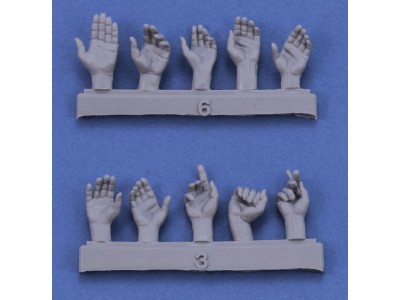 Assorted hands set No. 1 