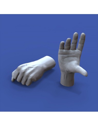 Assorted hands set No. 2 