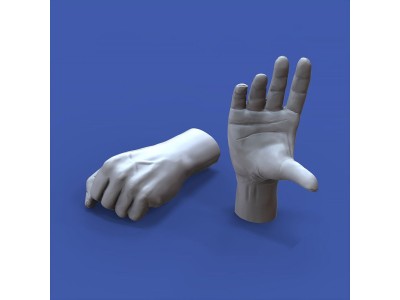 Assorted hands set No. 2 