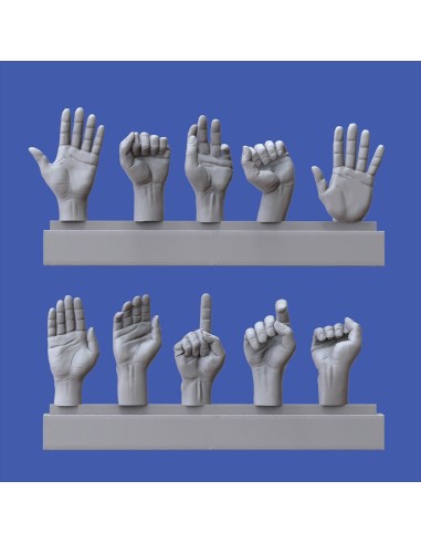 Assorted hands set No. 3 