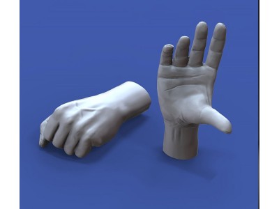 Assorted hands set No. 3 