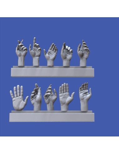 Assorted hands set No. 5 