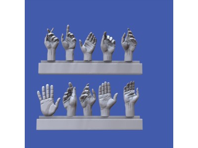 Assorted hands set No. 5 