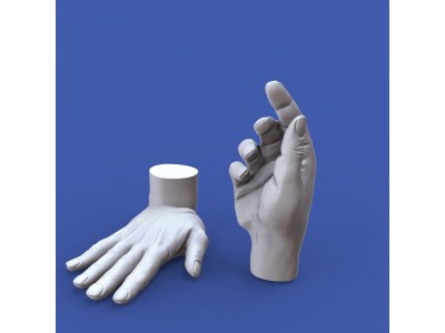 Assorted hands set No. 5 