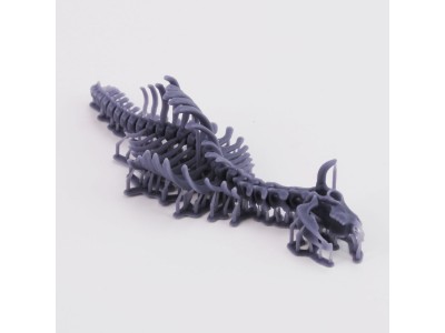 Cow skeleton n.1  3D printed 