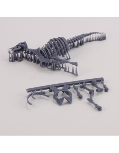 Cow skeleton n.3 
