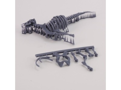 Cow skeleton n.3 