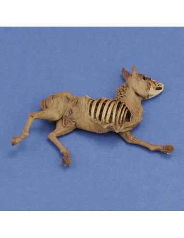 Donkey carcass 
