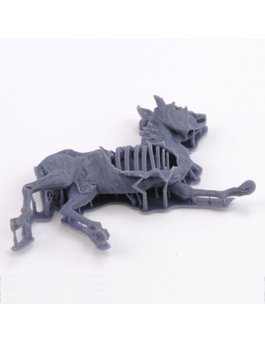 Donkey carcass 