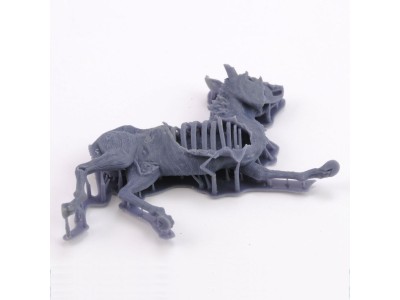Donkey carcass 