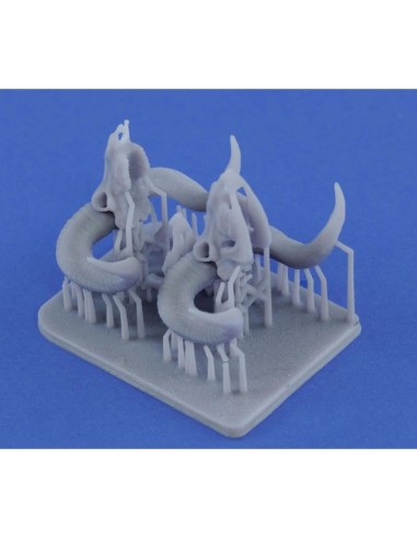 Mufflon skulls 3D printed 