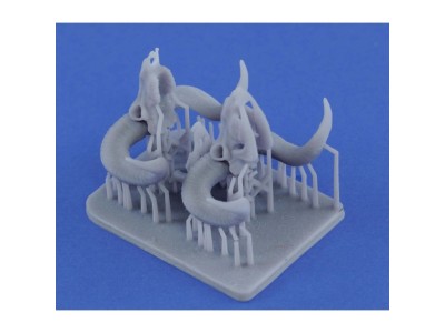 Mufflon skulls 3D printed 