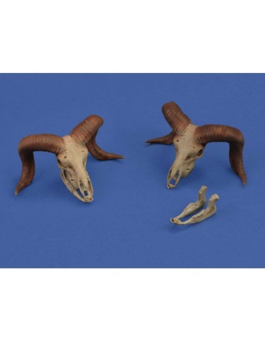 Mufflon skulls 3D printed 
