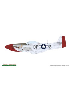 MIGHTY EIGHT: 65th Fighter Wing 