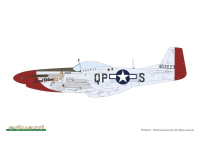 MIGHTY EIGHT: 65th Fighter Wing 