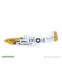 MIGHTY EIGHT: 65th Fighter Wing  2
